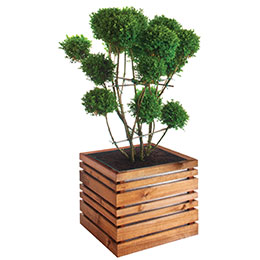 Jardinera de Madera y Metal LIGN Z 50